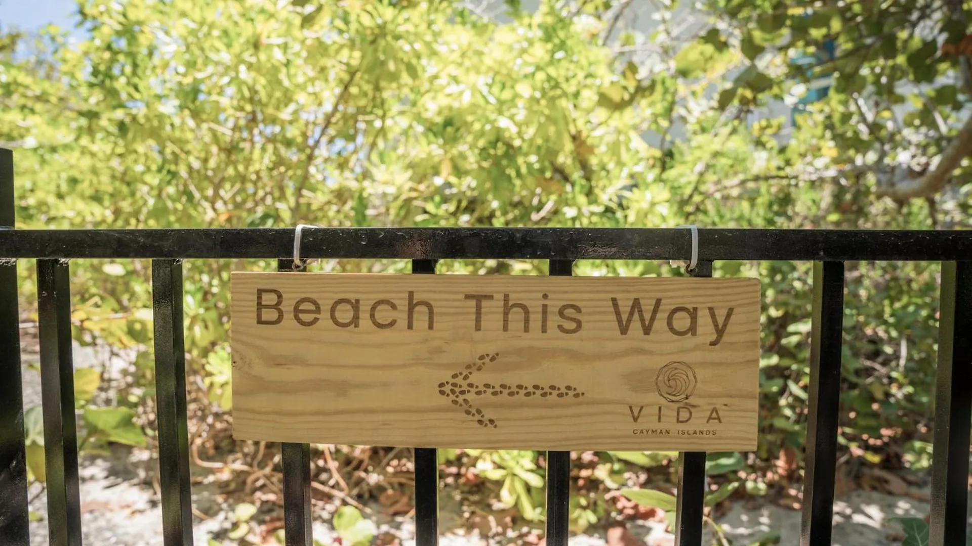 Vida Cayman Luxury Boutique Eco Hotel West Bay
